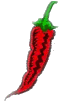 SPICENET Web Designer